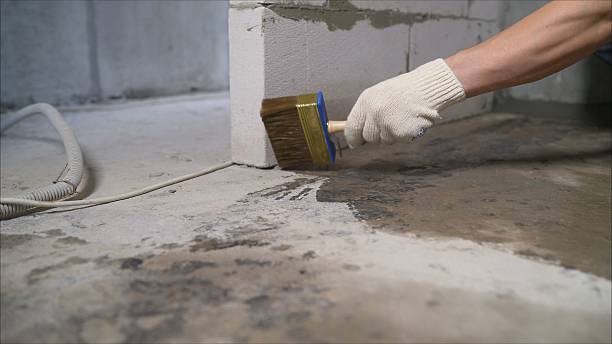 SJ Waterproofing Pros Basement Waterproofing coverage map for Albion, IL and surrounding area